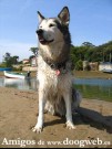 Fotos de amigos