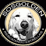S.O.S. golden