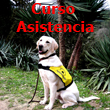 logoasistencia Bocalan