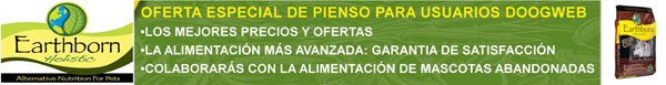 BANNER-OFERTA-EARTHBORN Oferta en pienso holístico Earthborn.