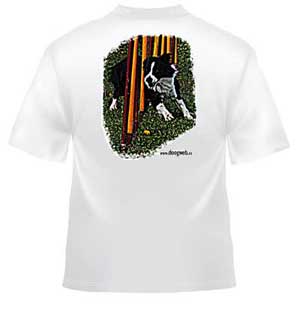 Camiseta doogweb Border collie Agility.