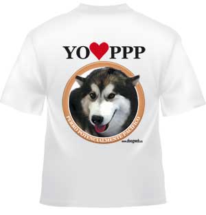 Camiseta doogweb "Perro Potencialmente Pacífico" Alaskan malamute.