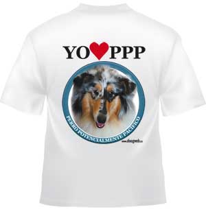 Camiseta doogweb "Perro Potencialmente Pacífico" Rough Collie.