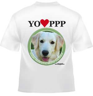 Camiseta doogweb "Perro Potencialmente Pacífico" Golden retriever.