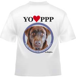 Camiseta doogweb "Perro Potencialmente Pacífico" Labrador retriever.