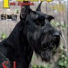 El Perro en España, boletín oficial de la RSCE (nº 30)