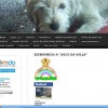 “Yo colaboro con Arco da Vella”