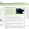 Nuevo proyecto sobre perros: www.carodog.eu