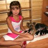 Etiología del miedo en los perros, periodos vitales (y II)