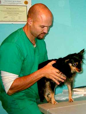 Fisioterapia aplicada a perros y pequeños animales.