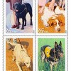 Homenaje a los <strong>perros de trabajo</strong>
