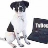 <strong>DogTV</strong>, ¡un canal de televisión para perros!
