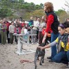 I <strong>Foro de Terapia y Protección Animal</strong>