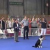 <strong>Obedience OCI 2012</strong> Salzburgo
