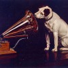 <strong>RadioCan</strong>, una radio para perros