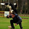 <strong>USDDN Qualifier</strong> Spain and France (dog frisbee)