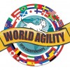 <strong>World Agility Open 2012</strong>, resultados
