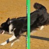 <strong>Agility</strong> en Madrid y Sevilla