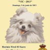 XVIII <strong>Exposición Canina</strong> Nacional de Vic