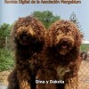 Revista “El Perro de Agua”, número 8