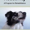 Rehabilitación de <strong>perros reactivos</strong> (dvd)