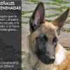 <strong>“Señal envenenada”</strong>, es hora de cambiar de palabra