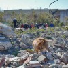 <strong>Rescate canino Método Arcón</strong> en Latinoamérica