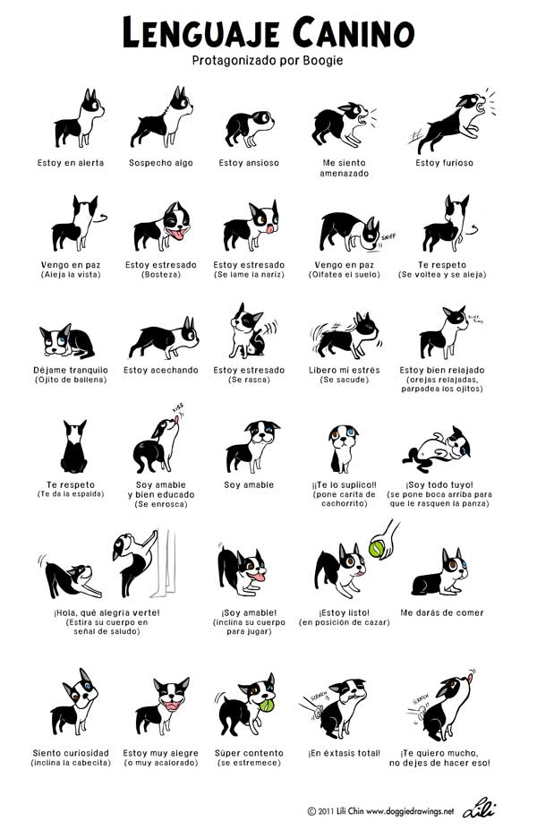 El lenguaje de los perros (póster descargable).