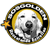 Nueva web de SOSgolden