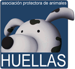 Protectora "Huellas" de Ávila
