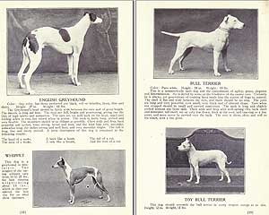 Libro Dogs of all Nations (1915)