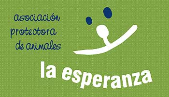Albergue "La Esperanza" de Villarrobledo. Adopciones de perros.
