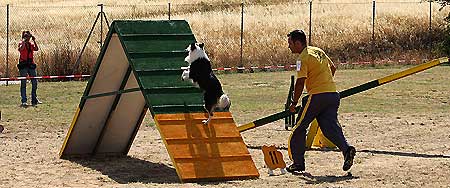 Pruebas de agility 28 y 29 de agosto de 2010.