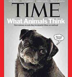 Dentro de la mente de los animales. Tme Magazine.