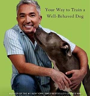 Libro de César Millán. El Encantador de Perros deja atrás el instintivismo y se centra en el refuerzo positivo como base para la educación canina.
