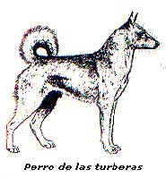 Can de Palleiro, en busca de su origen