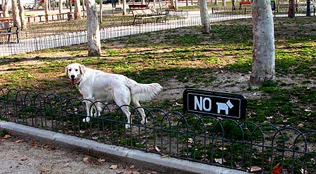 Perros y problemas en el Parque de El Retiro (Madrid).