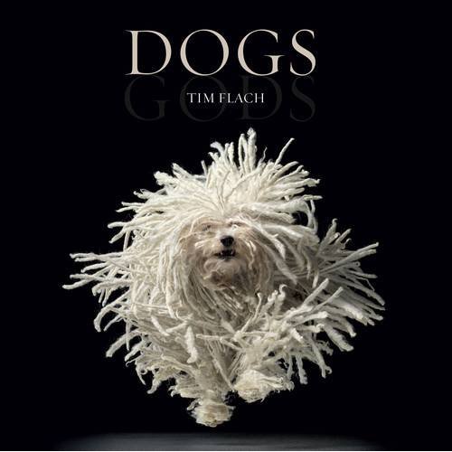 Dogs: Gods, el nuevo libro de Tim Flach