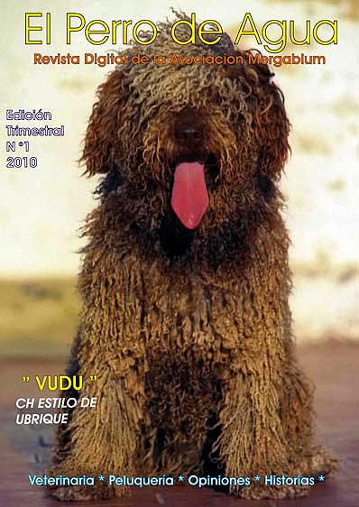 Revista digital gratis sobre el perro de agua español.