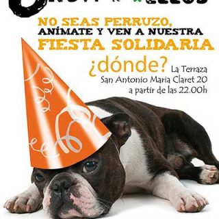 Fiesta solidaria de A.S.P.M.Z. y Zarpa Zaragoza Protección Animal.