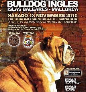 Concurso canino monográfico de bulldog inglés, Mallorca