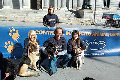 Nuevo Código Penal contra el maltrato animal.