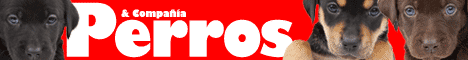 PERROSYCIA FULL BANNER Revista Perros y Compañía.