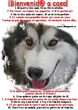 Decálogo para las visitas... (www.doogweb.es).