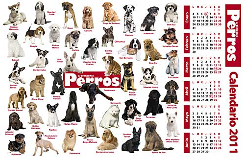 Calendario 2011 de cachorros de perros. Revista Perros Y Compañía, enero de 2011.