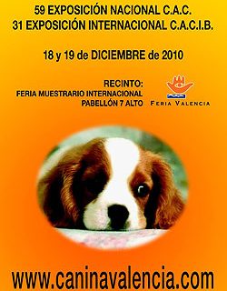 31 Exposición Canina Internacional de Valencia.