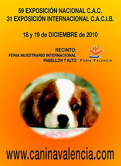 31 Exposición Canina Internacional de Valencia.