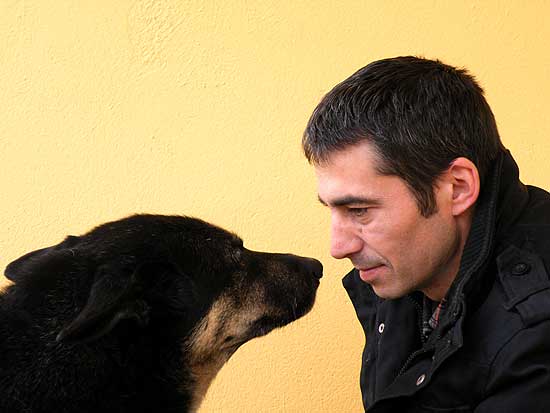 Entrevista con Jaime Vidal "Santi" (Bluenit dogs).