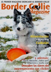 Border collie, nueva revista digital.