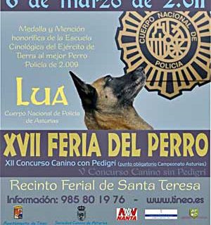 XVII Feria del Perro en Tineo, Asturias.